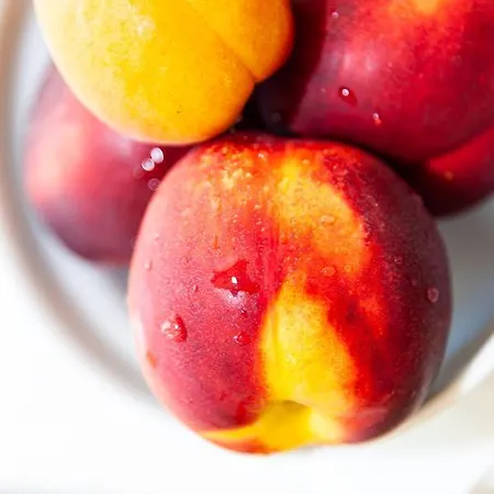 Viamare Hotel Milano Marittima