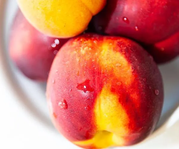 Viamare Otel Milano Marittima