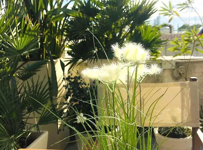 Viamare Otel Milano Marittima